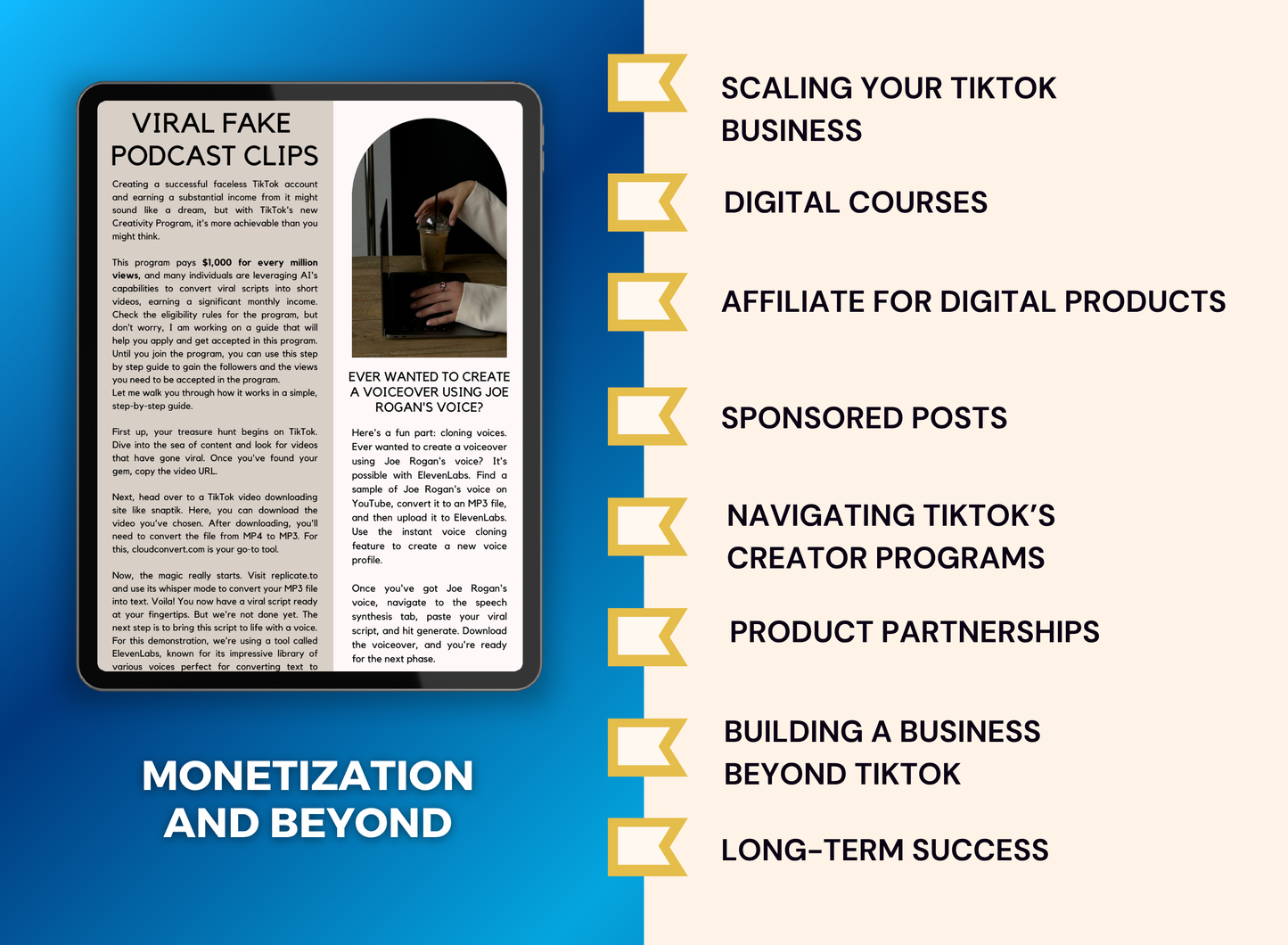 Faceless Tiktok Marketing | MRR PLR Ebook