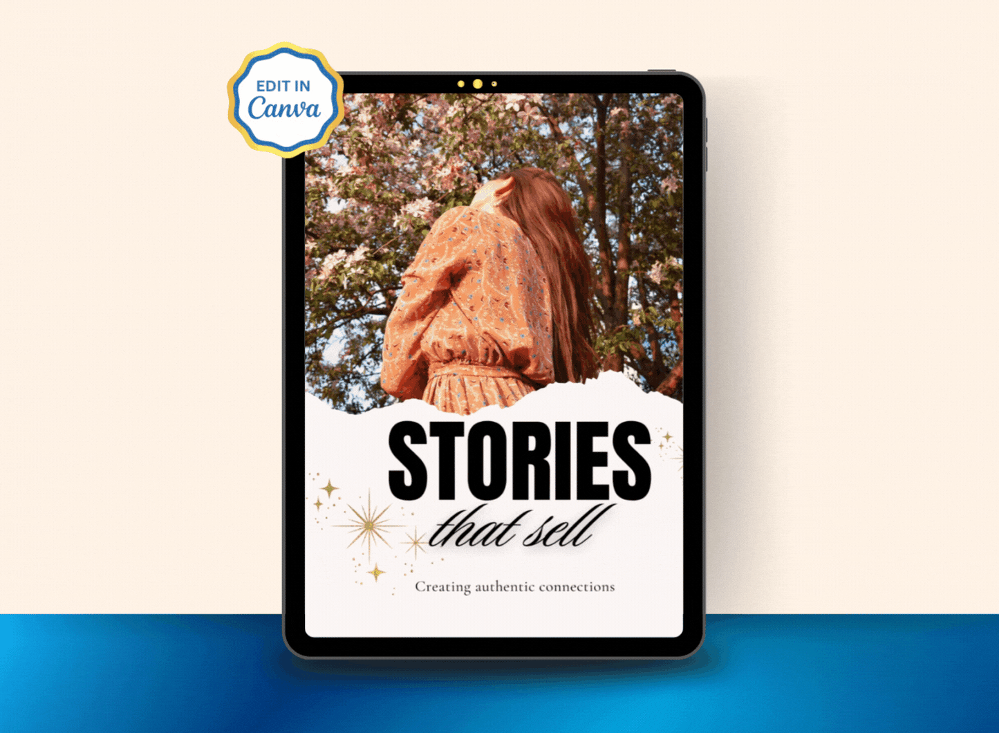 Stories That Sell | MRR PLR Ebook