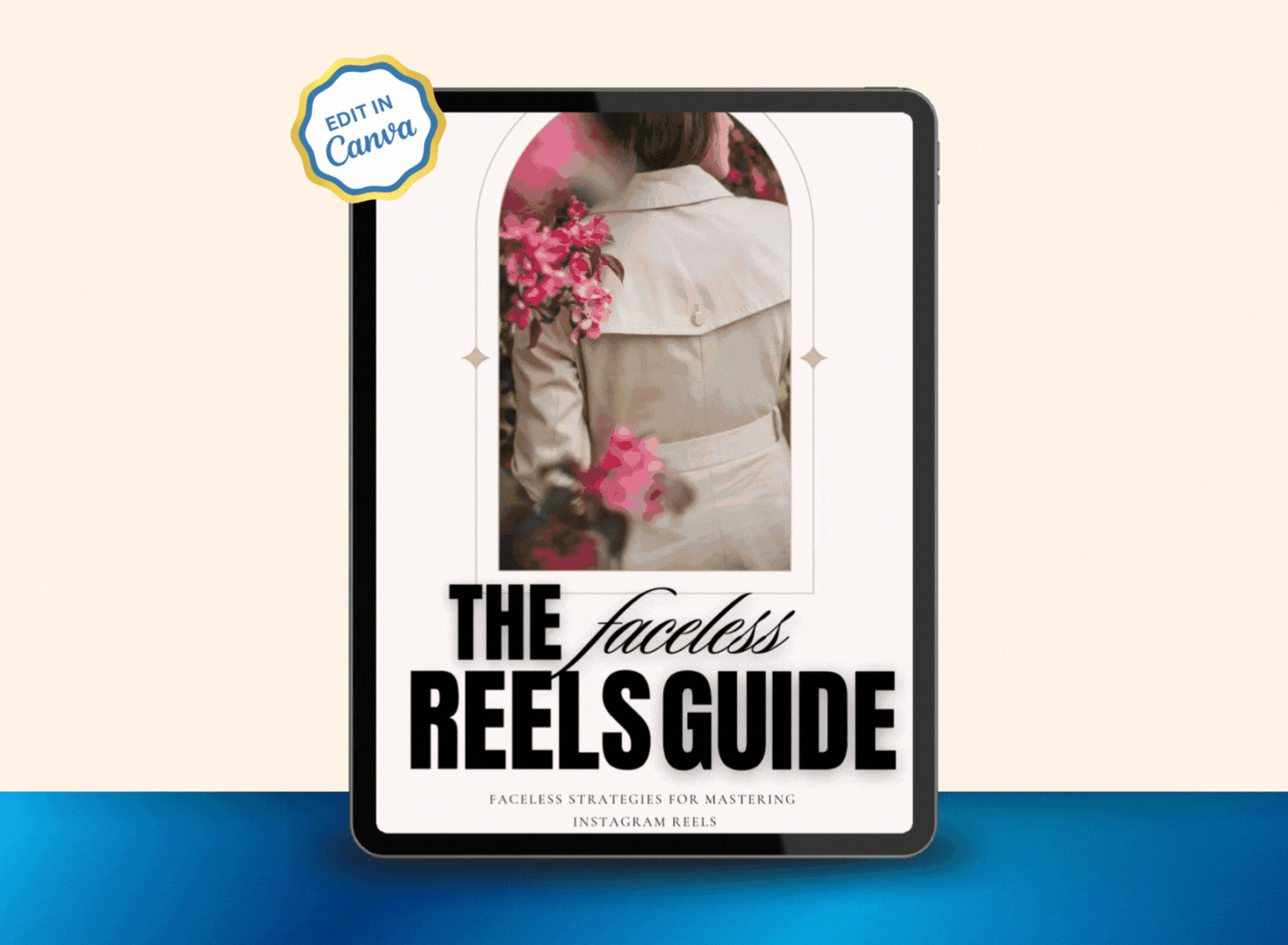 The Faceless Reels Guide | MRR PLR Ebook