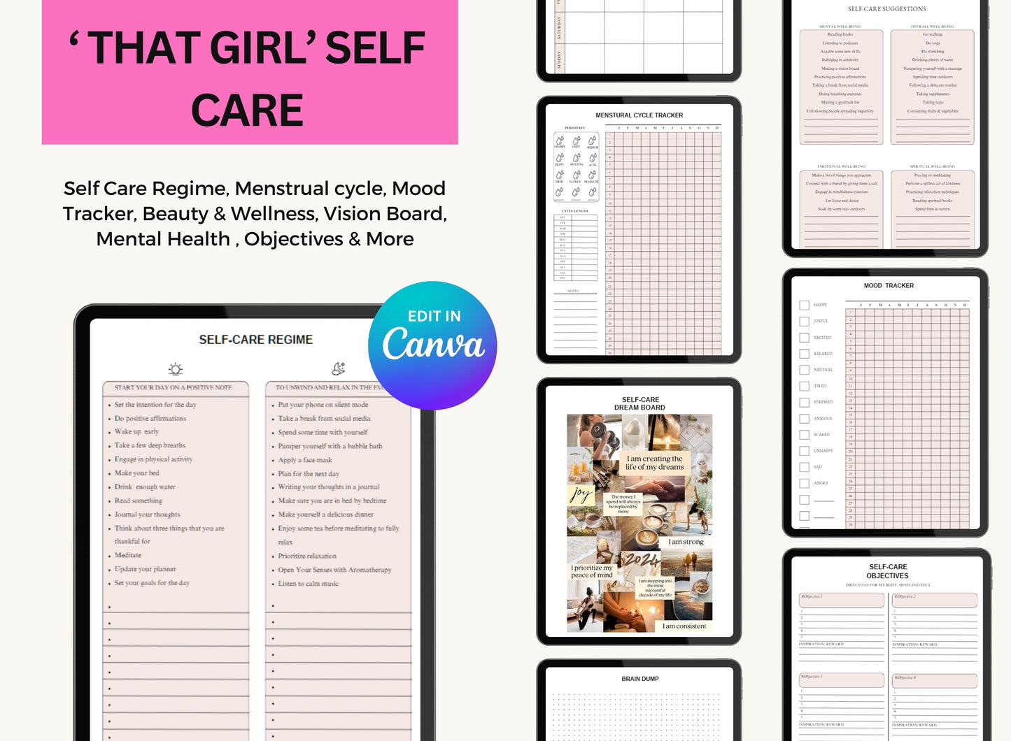 PLR Planner That Girl Planner Master Resell Rights