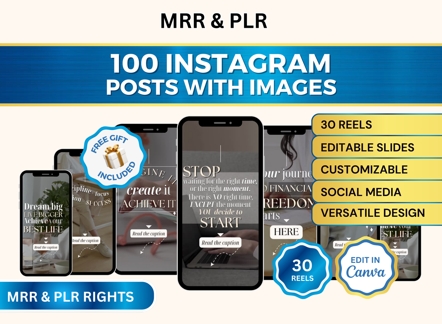 Boss Babe Reels | MRR PLR Ebook