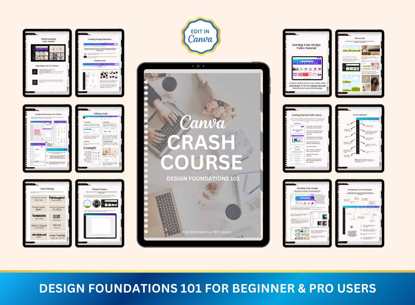 Canva Master Crash Course | MRR PLR Guide