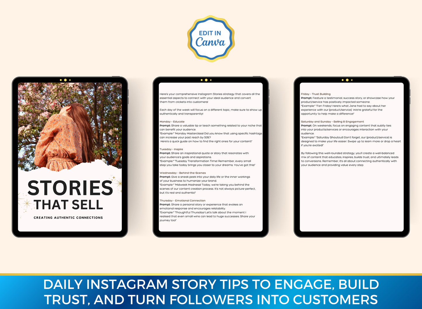 Stories That Sell | MRR PLR Ebook