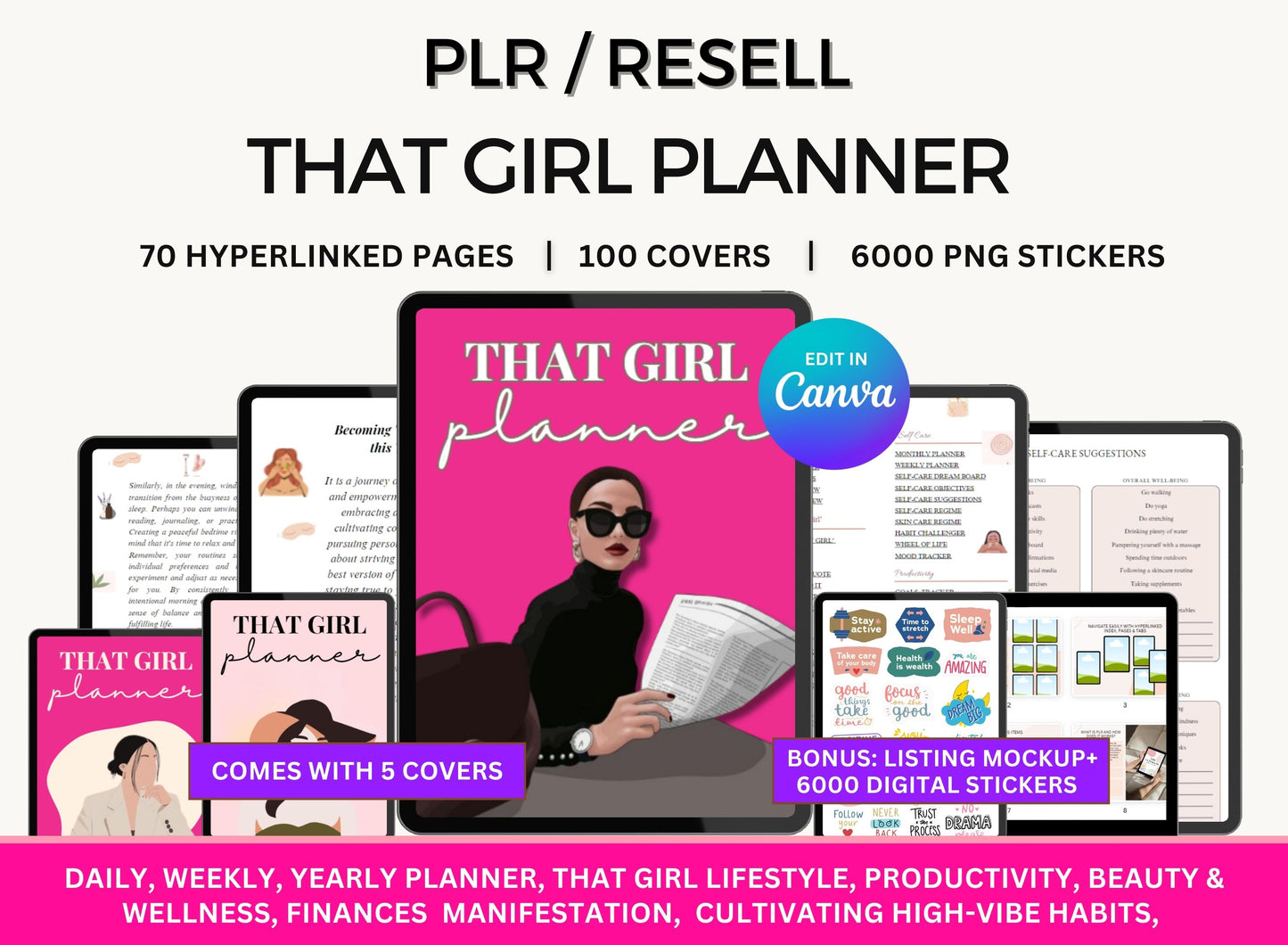 PLR Planner That Girl Planner Master Resell Rights