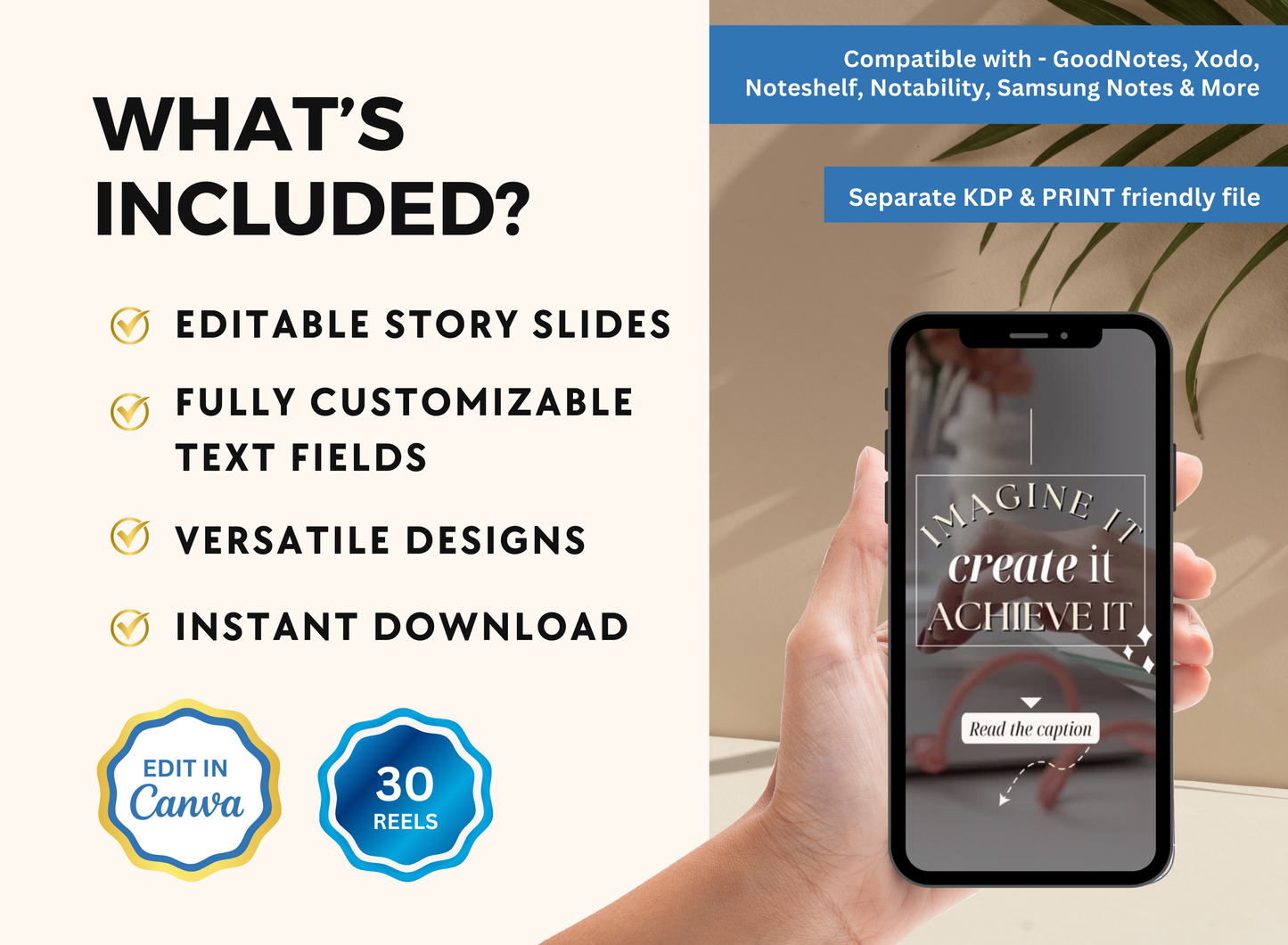 Boss Babe Reels | MRR PLR Ebook