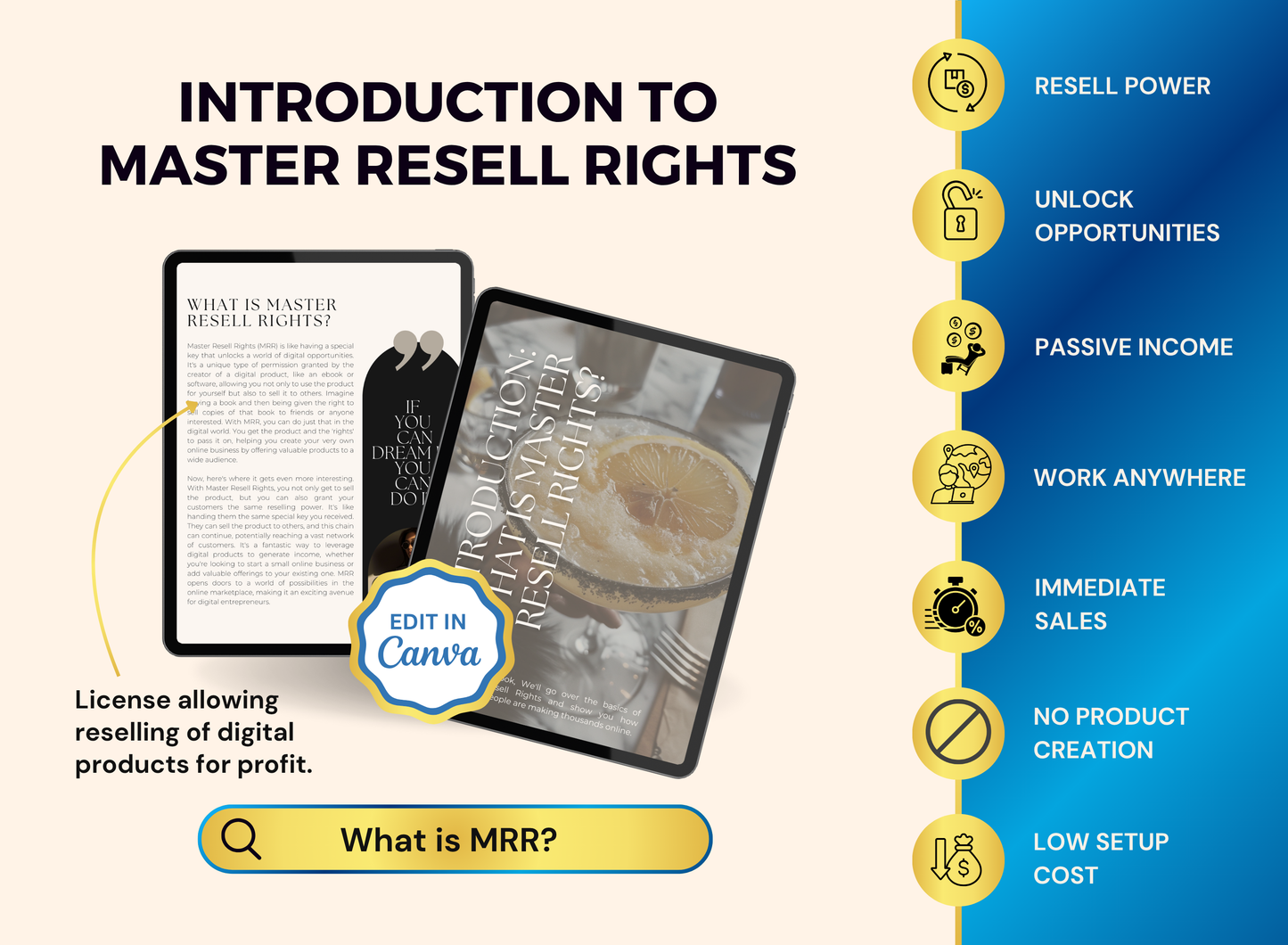 Achieve Financial Freedom with MRR |  MRR PLR Ebook