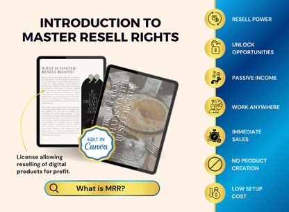Achieve Financial Freedom with MRR |  MRR PLR Ebook