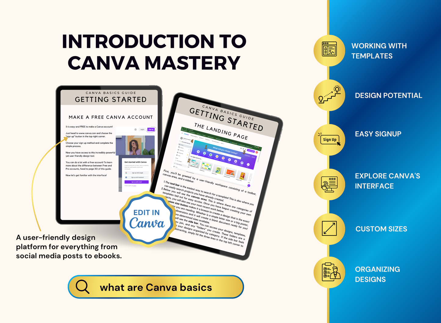 Rich Off Content Canva | MRR PLR Ebook