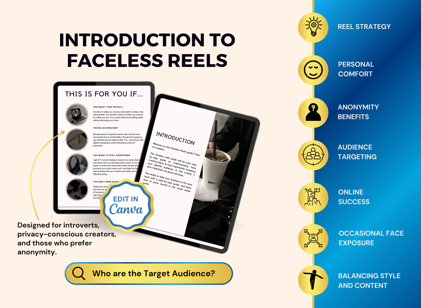 The Faceless Reels Guide | MRR PLR Ebook