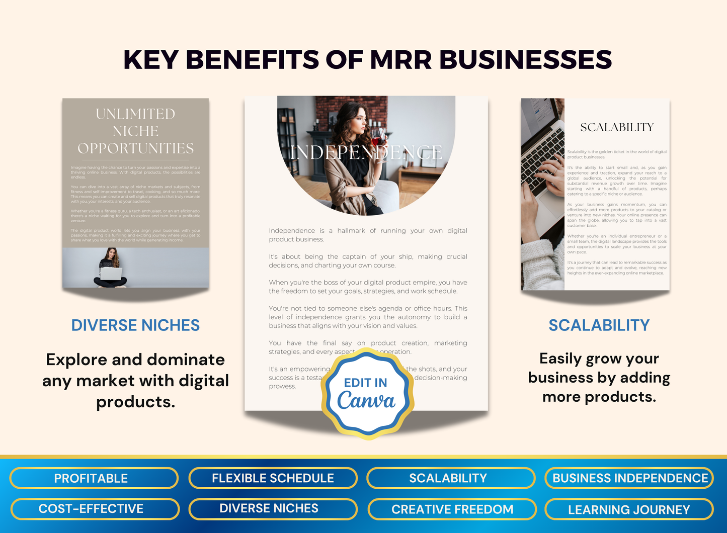 Achieve Financial Freedom with MRR |  MRR PLR Ebook