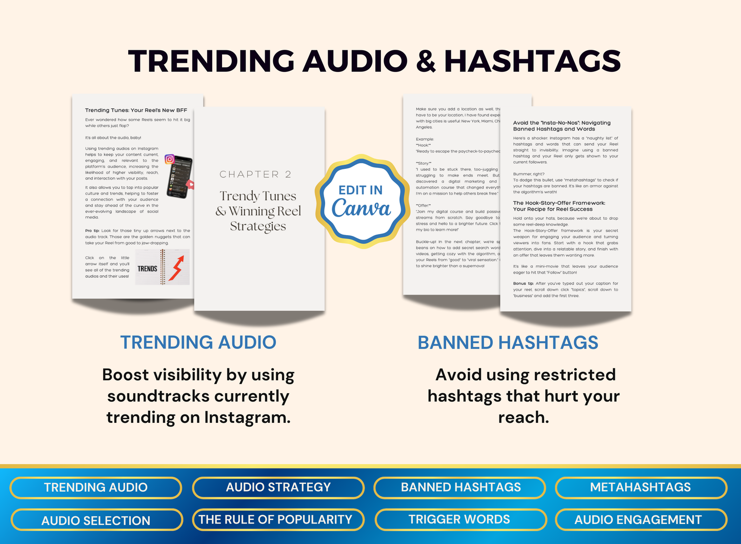 Reels That Reach | MRR PLR Ebook