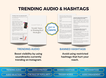 Reels That Reach | MRR PLR Ebook