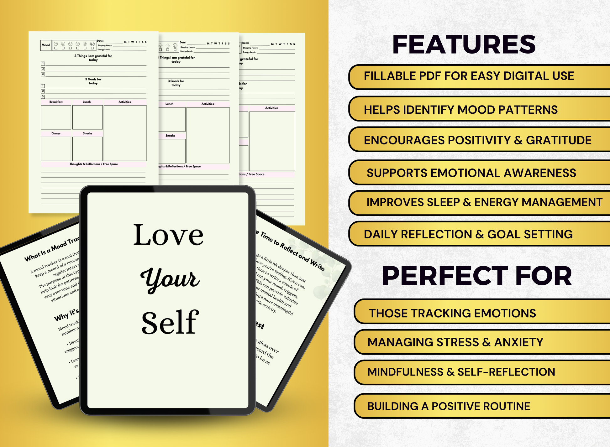 mood map planner, mood map workbook, mood map worksheet, mood map fillable pdf, mood map journal, worksheet, workbook, planner, fillable pdf, daily planner, digital planner, fill out pdf, fill out pdf online, best planners, custom planner, editable pdf, pdf fillable form, best online planner