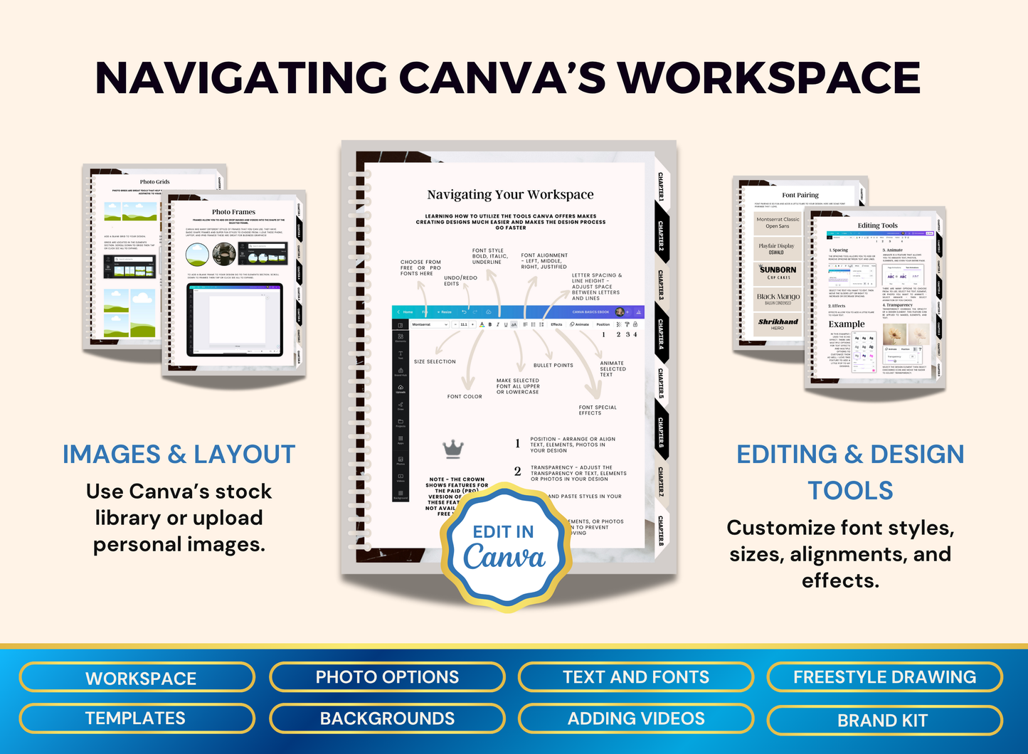 Canva Master Crash Course | MRR PLR Guide