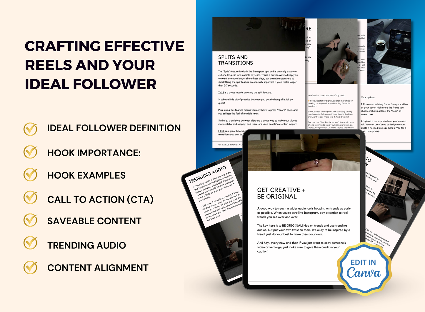 The Faceless Reels Guide | MRR PLR Ebook