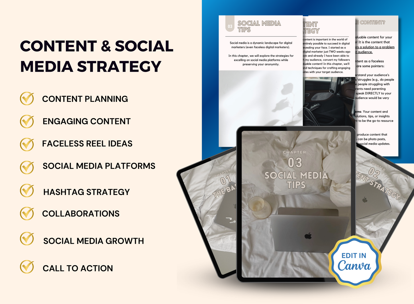 The Ultimate Faceless Marketing Guide | MRR PLR Ebook