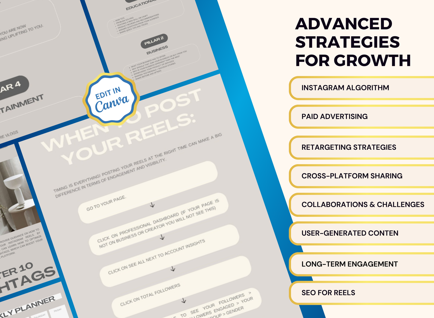 Paid Beyond Reels | MRR PLR Ebook