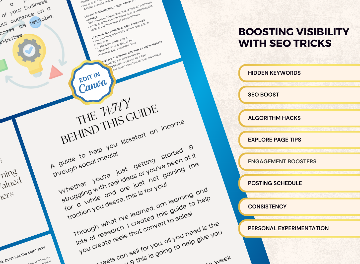 Reels That Reach | MRR PLR Ebook