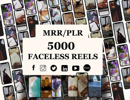 PLR Girl Bundle - Planner, Ebook, Self Care, Faceless Reels