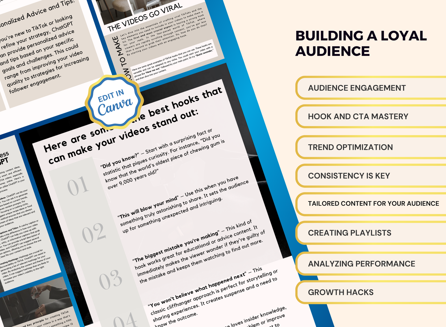 Faceless Tiktok Marketing | MRR PLR Ebook