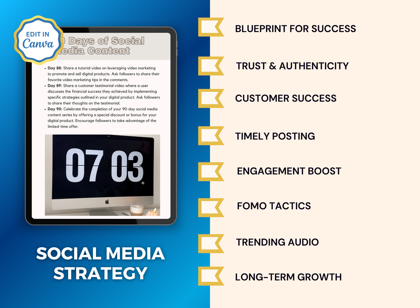 Social Media Blueprint | MRR PLR Ebook