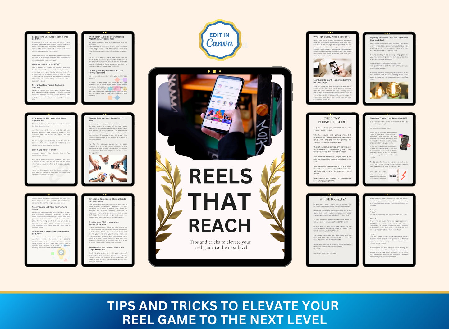 Reels That Reach | MRR PLR Ebook